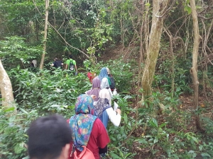Island's flying fox monitoring program conducted by Lisa Paguntalan from The Philippines Biodiversity Centre.