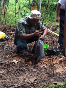 program-penanaman-pokok-10