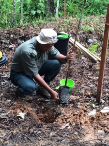 program-penanaman-pokok-8