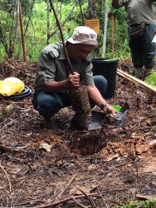 program-penanaman-pokok-9